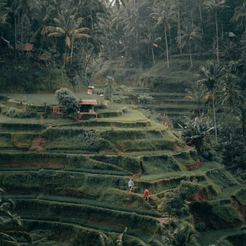 Bali Tour Package