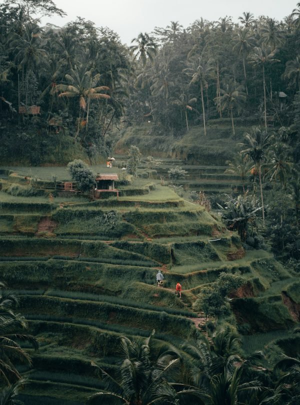 Bali travel destination