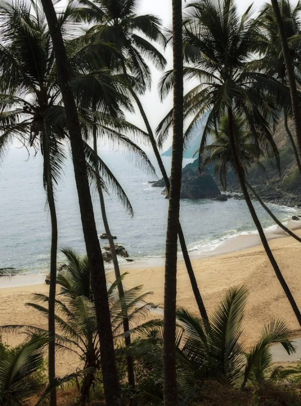 Goa travel destination