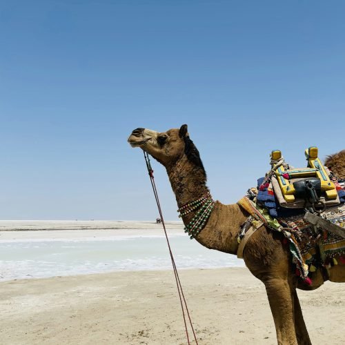 Gujarat Tour Package